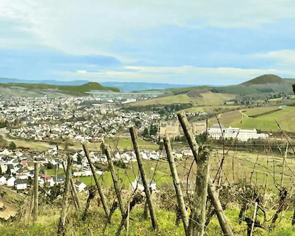 Pension Zum Ahrblick Зинциг Экстерьер фото